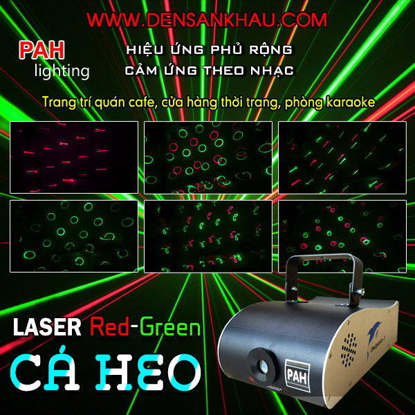 Máy chiếu laser cá heo chiếu hiệu ứng sôi động