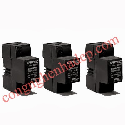 Cắt lọc sét TSG1130-2S